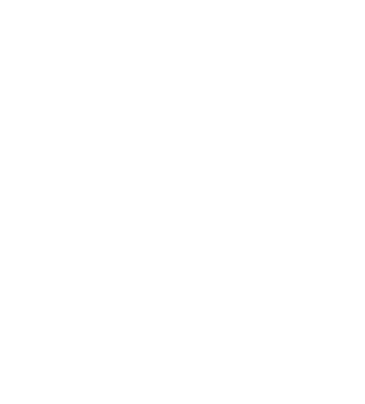 ARC Electronics